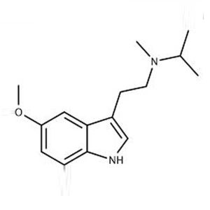 5-MeO-DMT-freebase online kopen